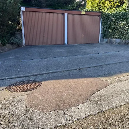 Burghalde Mit Sauna * 알피르스바흐