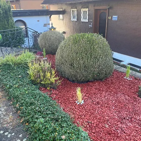 Burghalde Mit Sauna 알피르스바흐